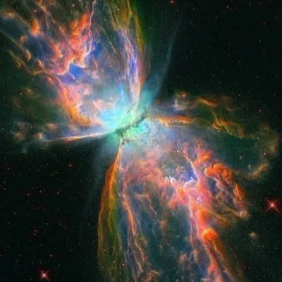 bitcoinape_sats's profile picture. 