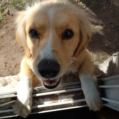 petttsematary's profile picture. https://t.co/faNAfwFBDu