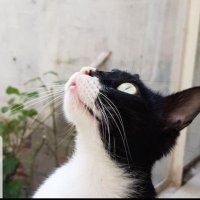 bi bakıp çıkıcam 👀 (@kucukesnaf84) 's Twitter Profile