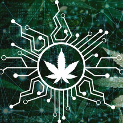 Weedilix - Your premier guide to legal cannabis knowledge. Bridging the gap between curiosity and education.
