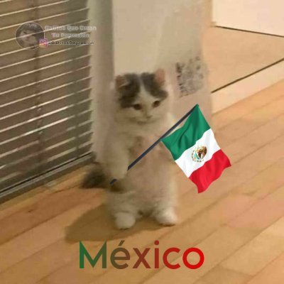 Agua_de_coco117's profile picture. 