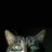 bbbow_por's profile image