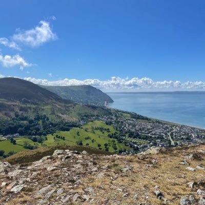 NoahAlan7's profile picture. 