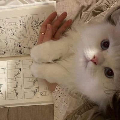 Paris_475's profile picture. 🤣