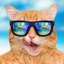 Ariel Mata - @rnrou79625428 - Twitter