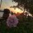 MeryemSelvi4's profile image