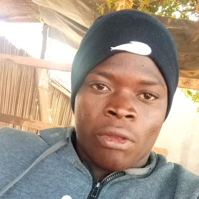 mountidjoa21335's profile picture. 