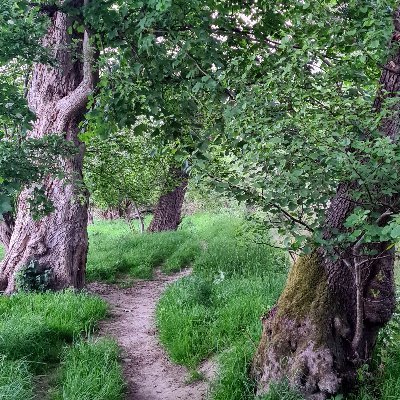 Evzo74's profile picture. 