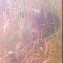 Tyler Gerig - @TylerGerig - Twitter