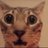 Chairbutfancy's profile image