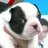 cirruscef3penem's profile image