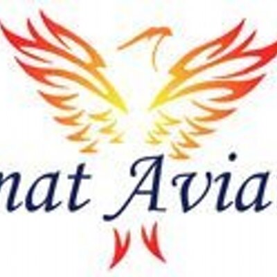 AlmatAviation's profile image