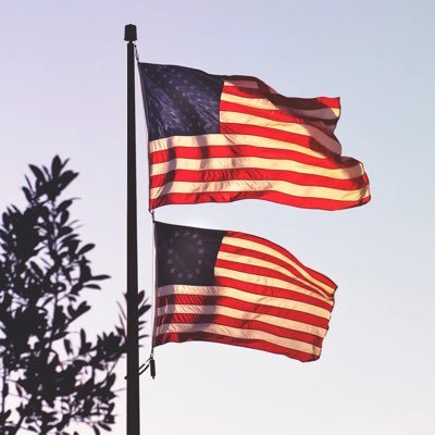 writeweed14's profile picture. Different brands of flavors they speak louder than words verified cart vendor all products tasted and authentic. https://t.co/hLsMUDyfFo