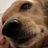 molcomell's profile image