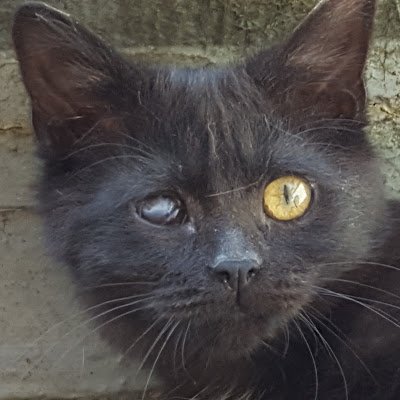 MicheleR86104's profile picture. 