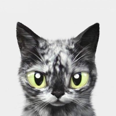 Jhunnn20's profile picture. 