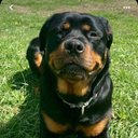 Evans Wright - @vanswr - Twitter