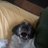 AndyBar96's profile image