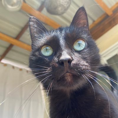 _kassandra09's profile picture. 