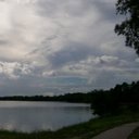 Pam Watts - @PamWatts194737 - Twitter