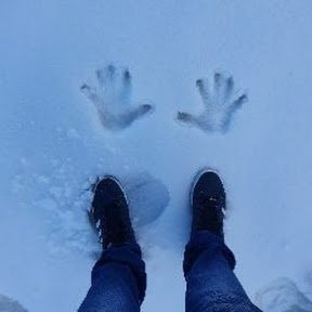 willianalf's profile picture. Blockchain