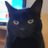 fionaBeveridge5's profile image