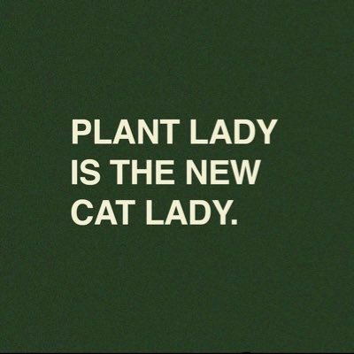 sociologist at Queen Mary University of London 🐈✨🐈‍⬛✨ digital Cat Lady 🪴 IG: CareforPlants & Cabinetcultures