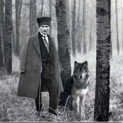 Brky79's profile picture. 