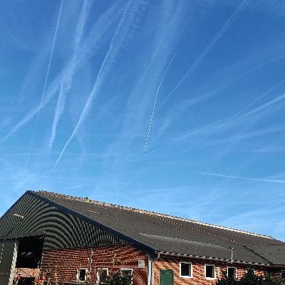 JohanHendr45's profile picture. 