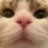 gasumich's profile image