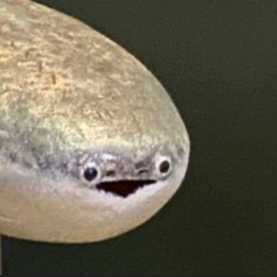 floofyfluff2's profile picture. Ryan! 30. They/them.  I don't know anything I just work here.  || neatrogenous on 🦋||