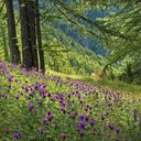 James Pounder - @JamesPound71933 - Twitter