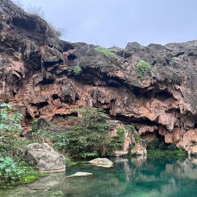 ali_slies's profile picture. 