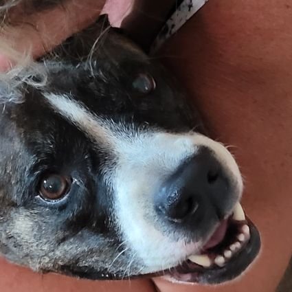 NicoleKFB's profile picture. 