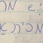 ELifchitz's profile picture. Você será minha faca, e eu também serei a sua....