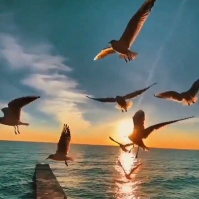 اللهم ردني إليك رداً جميلاً