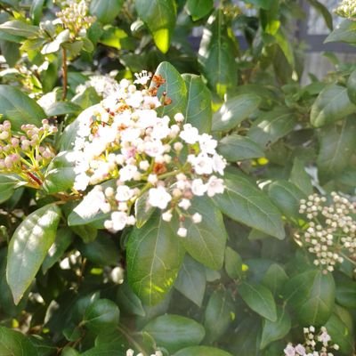 fouad06716415's profile picture. 