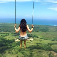 Dorothy (@hornedorothy37) 's Twitter Profile