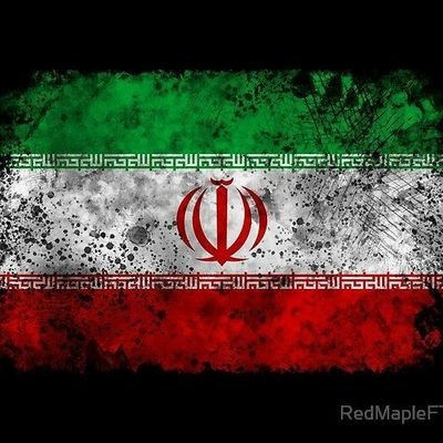 mellatdust's profile picture. 