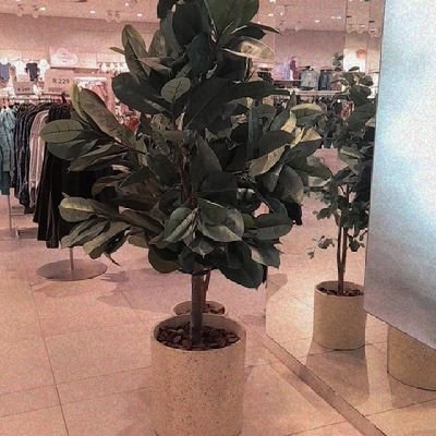 gilesojane's profile picture. ♓ pises|
student📚|
South African  🇿🇦 |
tswana
IG: @kele_gile