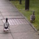 Liam Curtis-Moore - @LiamCurtis47034 - Twitter