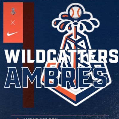 Director of Houston Wildcatters High School Baseball | Former 1st rd. draft pick Florida Marlins | 11 professional years | @WildcattersHS