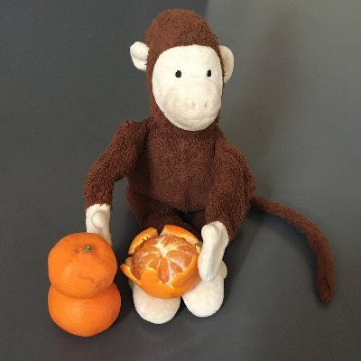 atomchan's profile picture. 