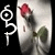 Vegan travelaholic