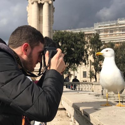 feudo996's profile picture. 1996,
Fotografo per lo più paesaggi e animali.
Contadino nel tempo libero, operatore ecologico per passione.