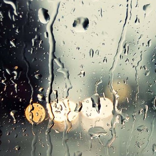 jtrharist's profile picture. 