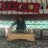Samet__Deniz's profile image