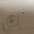 sitoasksn's profile image