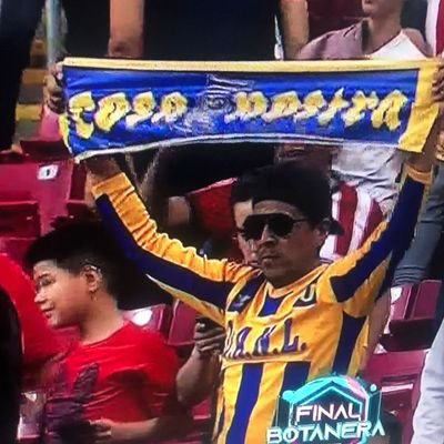 palomotoretto's profile picture. 