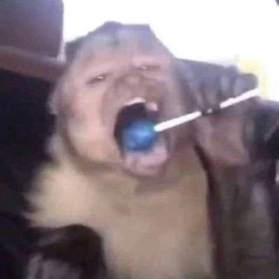 Ovallxsss's profile image